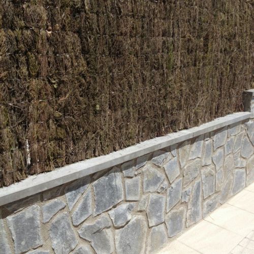 REFORMES INTEGRALS 10