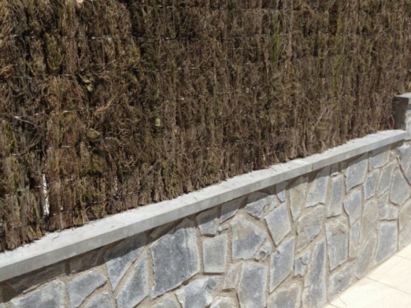 REFORMES INTEGRALS 10