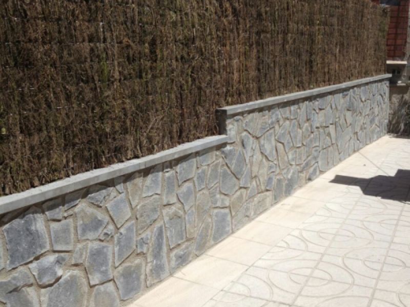 REFORMES INTEGRALS 11