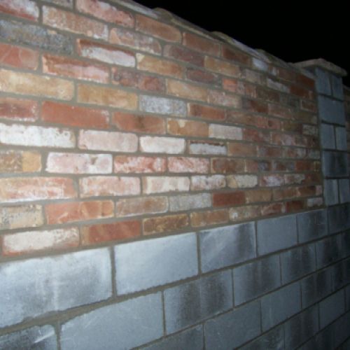 REFORMES INTEGRALS 2