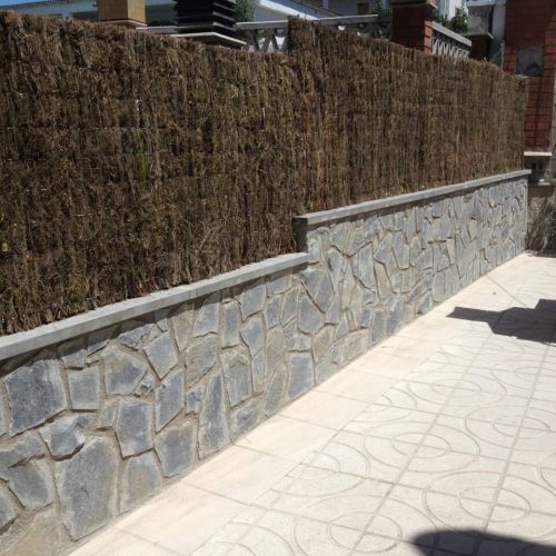 REFORMES INTEGRALS 11