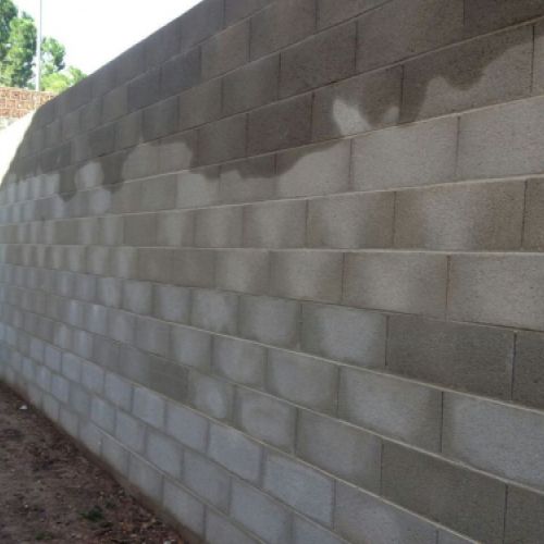 REFORMES INTEGRALS 5